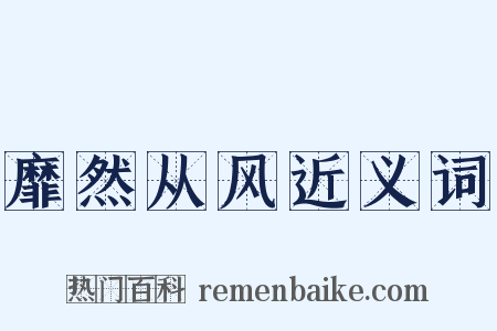 靡然从风近义词是什么意思的图片
